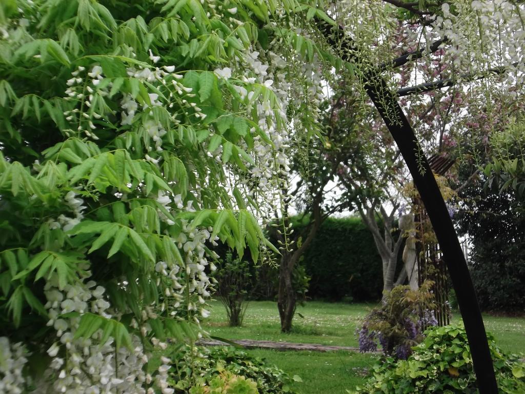 Son De Mar Hotel Rural & Apartamento Quintueles 객실 사진