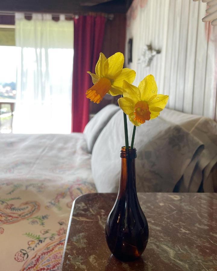 Son De Mar Hotel Rural & Apartamento Quintueles 외부 사진
